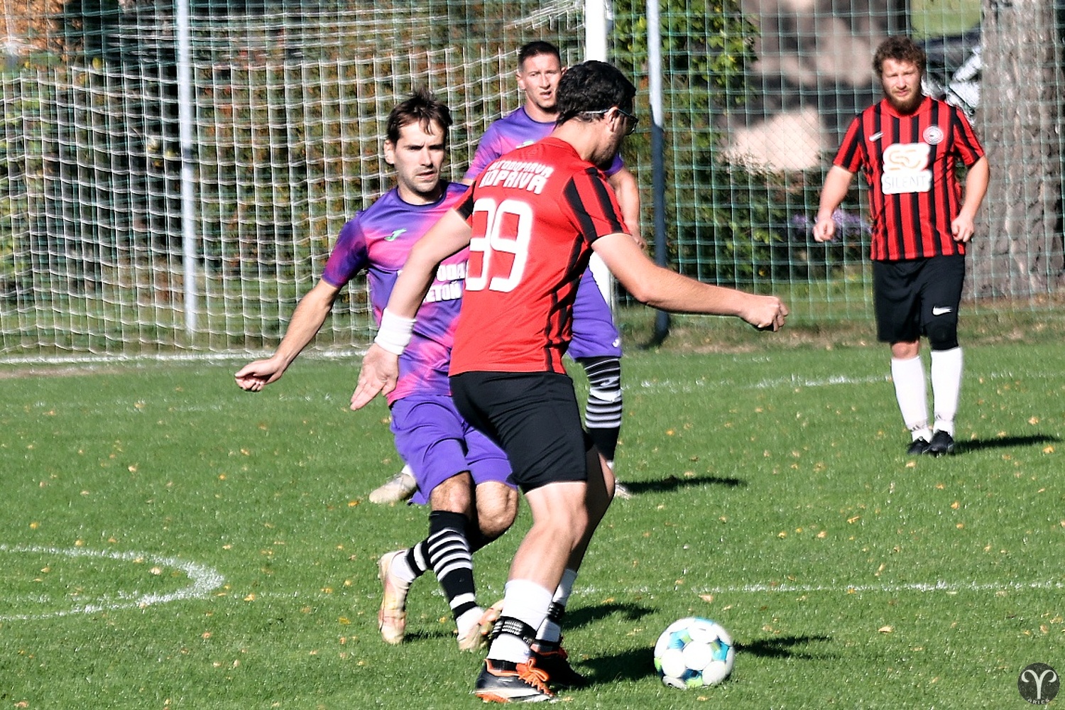IMG_7677_2.JPG